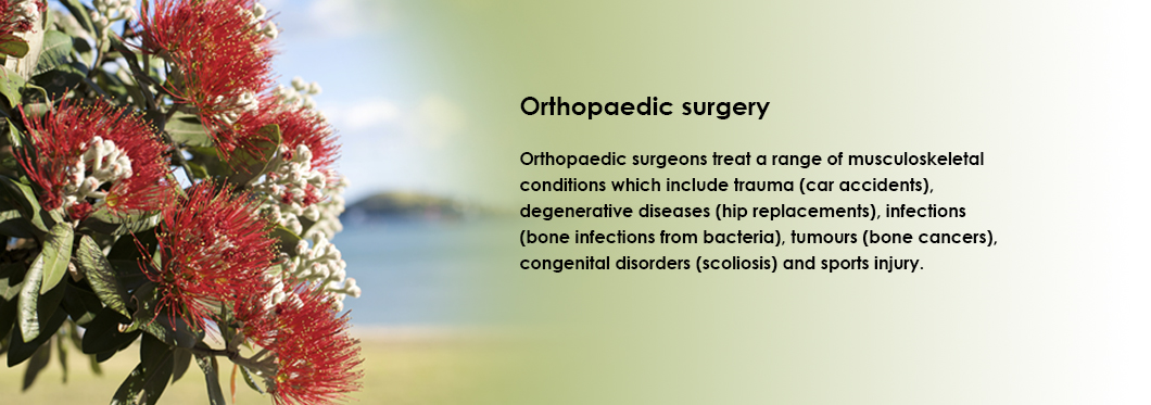 Banner Image for NZOA