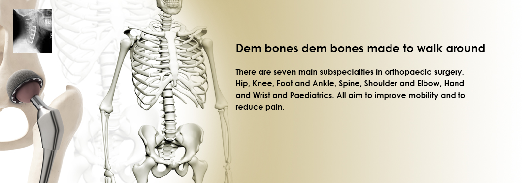 Banner Image for NZOA